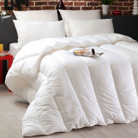 Couette Dodo Microstar 240 x 260 cm pour lit 2 places "King size"