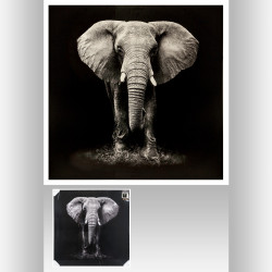 Toile élephant 100 x 100 cm Atmosphera