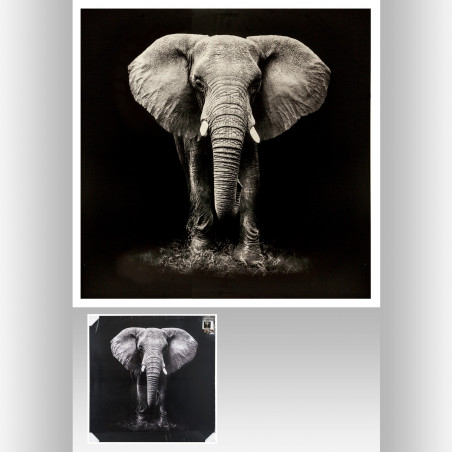 Toile élephant 100 x 100 cm Atmosphera
