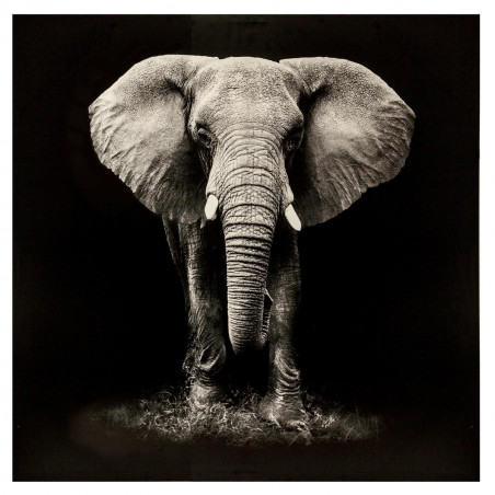 Toile élephant 100 x 100 cm Atmosphera