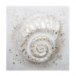 Toile peinte Coquillages 58 x 58 cm Atmosphera
