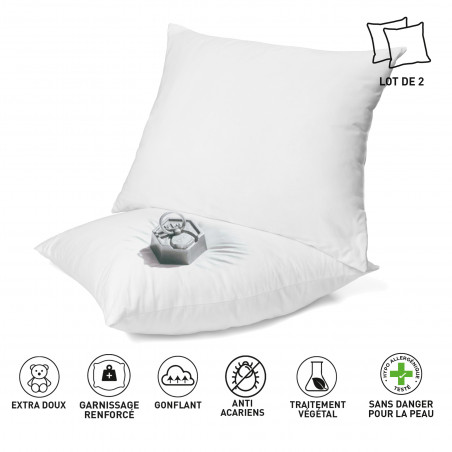 Lot de 2 oreillers anti-acariens 60 x 60 cm PHYTOPURE