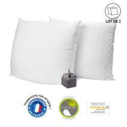 Lot de 2 oreillers anti-acariens 60 x 60 cm PHYTOPURE