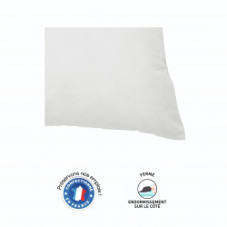 Lot de 2 oreillers anti-acariens 60 x 60 cm PHYTOPURE