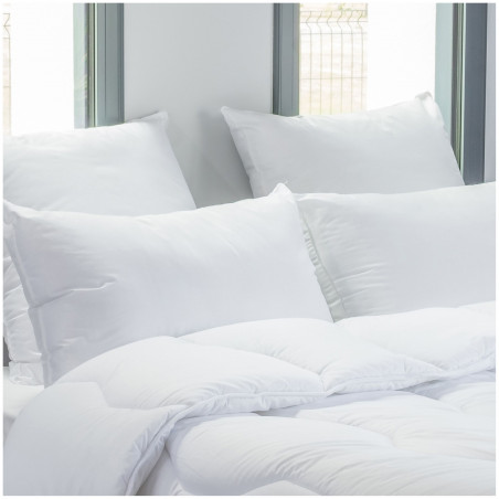 Lot de 2 oreillers anti-acariens 60 x 60 cm PHYTOPURE