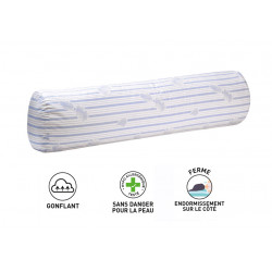 Polochon plumes véritables pour lit 90 "Blanc rêve" confort moelleux