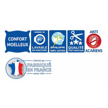 Lot de 2 Oreillers 60 x 60 cm "Protection totale Anti-Acariens" Bleu Calin
