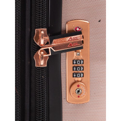 Valise Cabine Rigide 8 roulettes Platinel Alpini