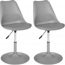 Lot de 2 chaises déco...