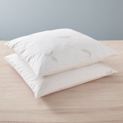 Lot de 2 oreillers 60 x 60 cm Gamme Naturelle "Prestige" plumes véritables Blanrêve
