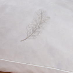 Lot de 2 oreillers 60 x 60 cm Gamme Naturelle "Prestige" plumes véritables Blanrêve