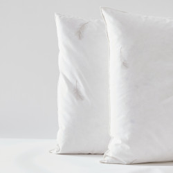 Lot de 2 oreillers Gamme Naturelle "Prestige" plumes véritables 1 x 60 x 60 + 1 x 45 x 70 Blanrêve