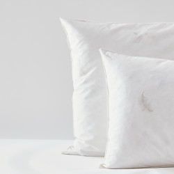 Lot de 2 oreillers Gamme...