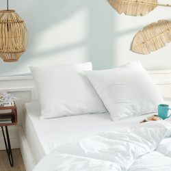 Lot de 2 oreillers 60 x 60...