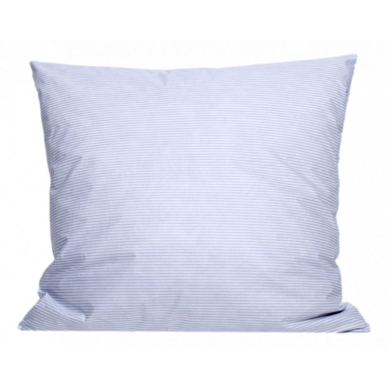 Oreiller plumes 65 x 65 cm "DODO"   