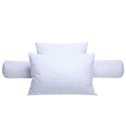 Oreiller plumes 50 x 70 cm "DODO" 