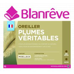 Lot de 2 oreillers plumes véritables 60 x 60 "Blanc rêve"