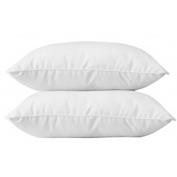 Lot de 2 oreillers anti-acariens 60 x 60 cm PHYTOPURE