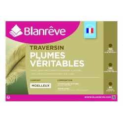 Polochon plumes véritables pour lit 90 "Blanc rêve" confort moelleux