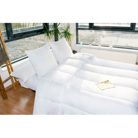 Couette Arctique 220 x 240 cm pour lit 140 x 190 cm à 160 x 200 cm