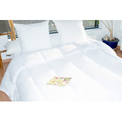 Couette protection totale anti acariens 400 gr/m² 200 x 200 cm pour lit 120 x 190 cm