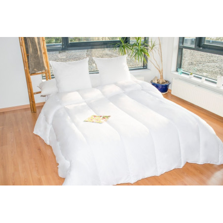 Couette protection totale anti acariens 400 gr/m² 220 x 240 cm pour lit 2 places 140 x 190 cm à 160 x 200 cm