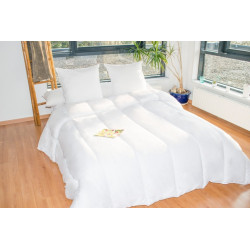 Couette protection totale anti acariens 400 gr/m² 240 x 260 cm pour lit "King size"