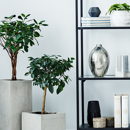 Vase, Photophore, Bougie & Petite Déco
